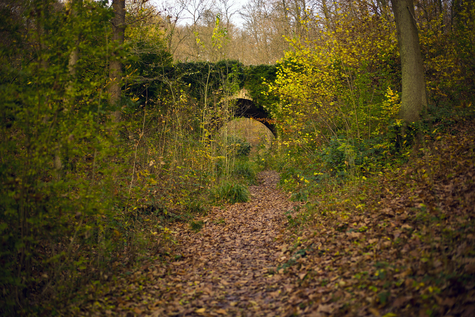 Time never passed down here, © Mădălina Diaconescu