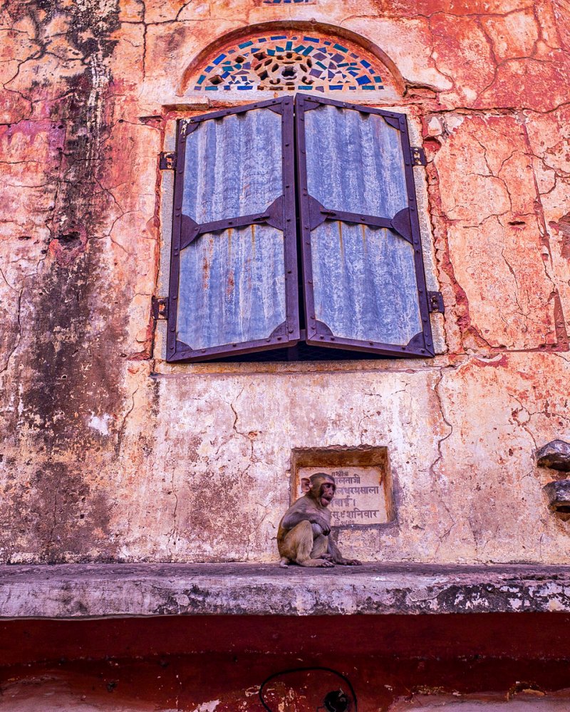 Fabulous India