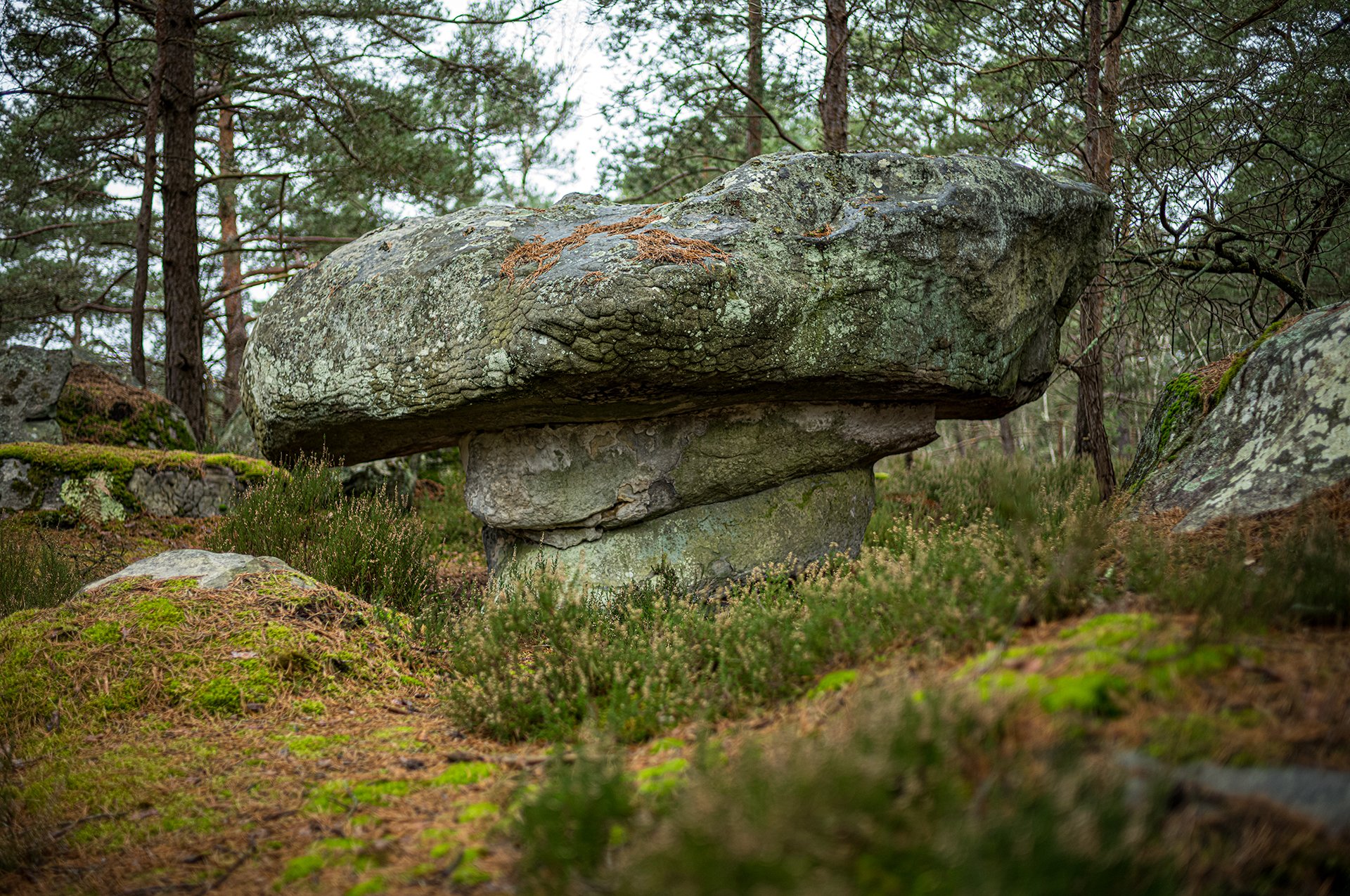 Pareidolies